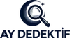 Dedektif Ajansı Logo